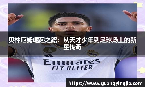 云开电竞官网