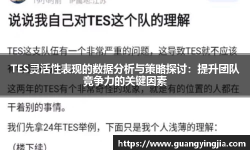 TES灵活性表现的数据分析与策略探讨：提升团队竞争力的关键因素
